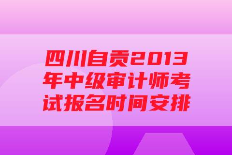 四川自贡2013年中级审计师考试报名时间安排